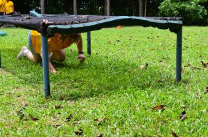 Forest Club for SensiblePlanner11