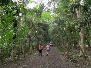 forsensibleplanner03